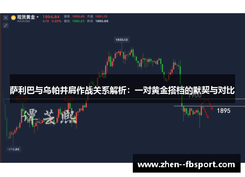 萨利巴与乌帕并肩作战关系解析：一对黄金搭档的默契与对比